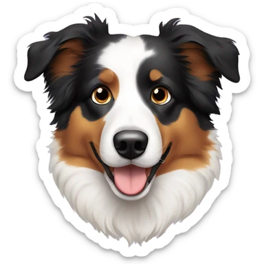Australian shepherd with black eyes and breaded with border collie  sticker