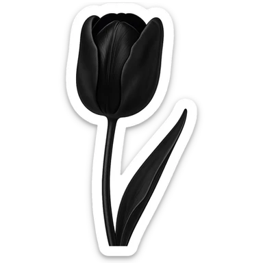 a black tulip, sleek and mysterious, gothic vibe, elegant and dark sticker