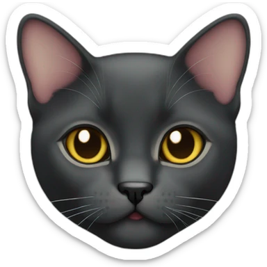 Face only of a black British short hair cat sticker