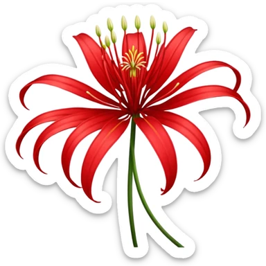 spider lily sticker