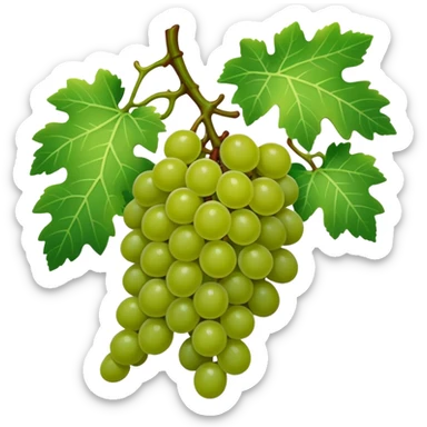 Grape vine sticker