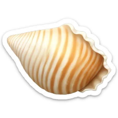 seashell sticker