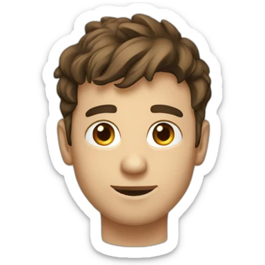 Matthieu - web dev - Declercq sticker