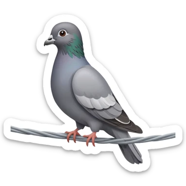Pigeon sticker