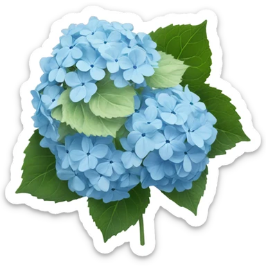 Light blue hydrangea ￼ sticker