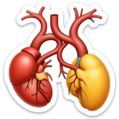 Kidney sticker