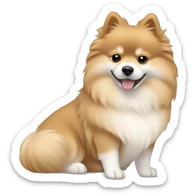 sleeping lying down pomeranian-spitz mix light brown and white with gray ears sticker