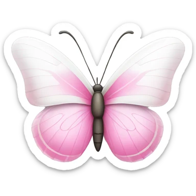 pink and white butterfly sticker