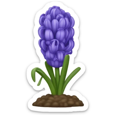 hyacinth sticker