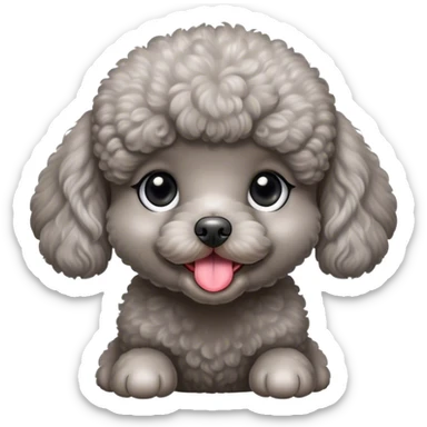 Grey toy poodle female puppy, very big and rounded eyes, very cute, sticks her tough out, very lovely  sticker