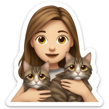 Girl brown hair holding 2 tabby maincoons sticker
