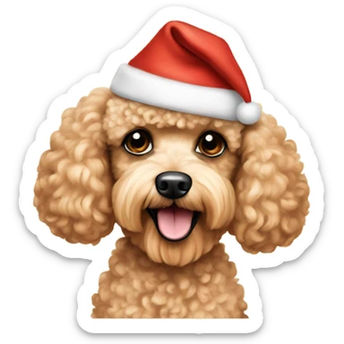 Miniature apricot poodle wearing a Santa hat sticker