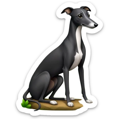 Black greyhound sitting in forest sticker
