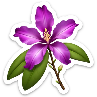 hong kong orchid with white inside the middle  sticker