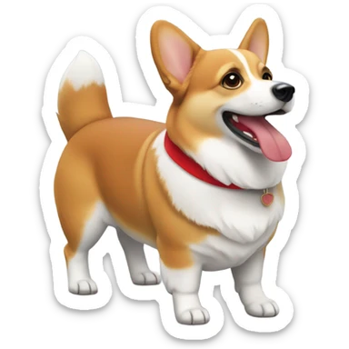 Corgi with red collar sticker