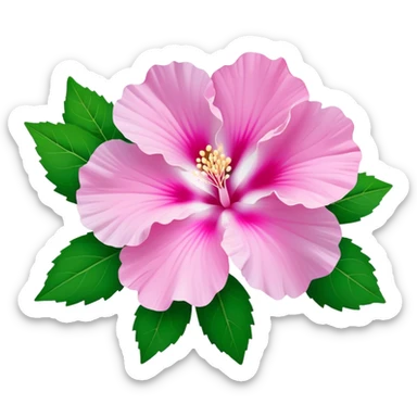 Cinematic Realistic image of a Mugunghwa flower (Rose of Sharon), rendered with delicate petal textures and vibrant pink hues, set against a minimalist background with gentle, diffused lighting that highlights its national significance sticker