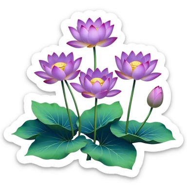 bunch Purple Lotus,stem, Lotus leaf sticker