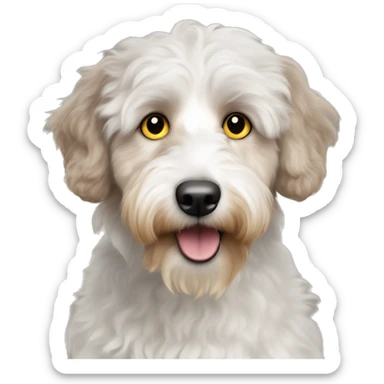 White and beige aussiedoodle with yellow eyes sticker