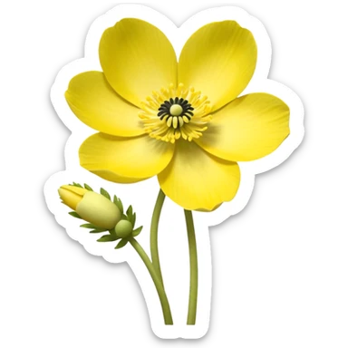 five leaved yellow anemone göz ağız sticker