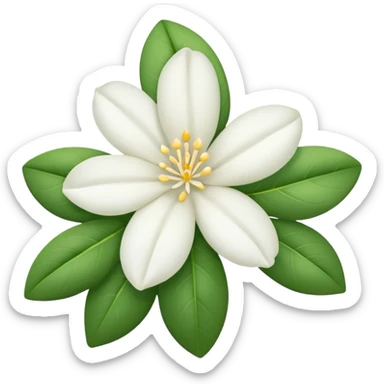 Jasmine flower emoji sticker