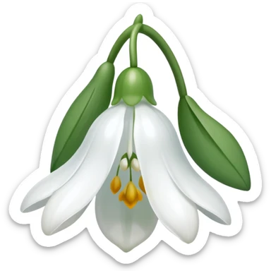 snowdrop flower sticker