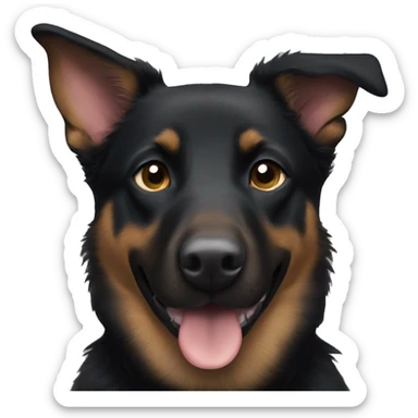 Black australian kelpie and german shepherd mix sticker