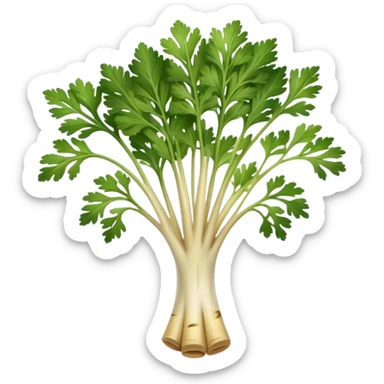 Parsley Root sticker