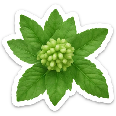 bergamot with a pronounced zest sticker