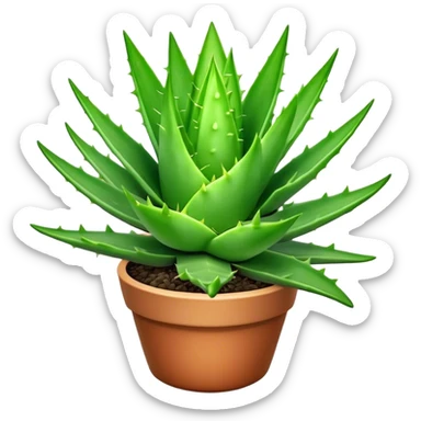 Cinematic Realistic Aloe Vera Emoji, Plump and succulent, with thick, fleshy leaves arranged in a star-like rosette. The vibrant green leaves have a slightly spiky texture, exuding a sense of resilience and healing. Soft glowing outline, capturing the essence of natural wellness and desert vitality in a flourishing aloe vera plant! sticker