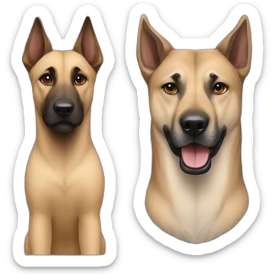 Mixture between a kangal dog and a malinois dog sticker