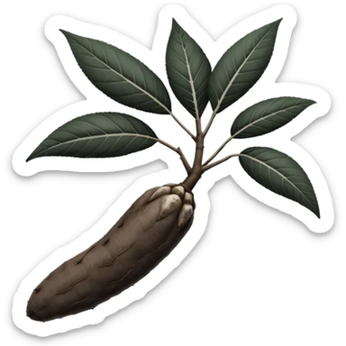 



cassava root black and white sticker