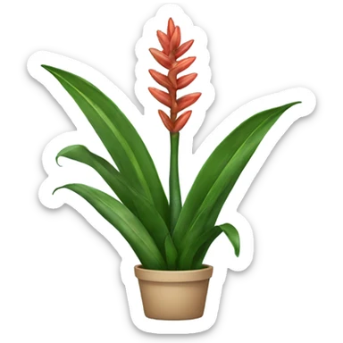 Snake plant  sticker