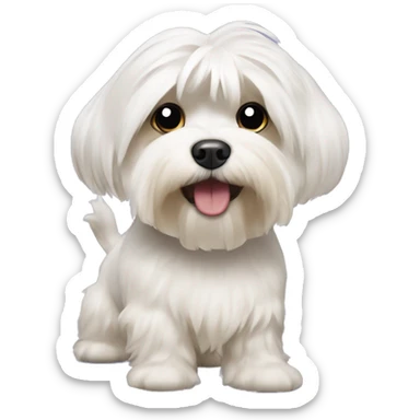 Havanese dog with hair being freshly shaved from petco sticker