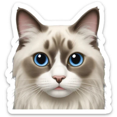 ragdoll cat sticker