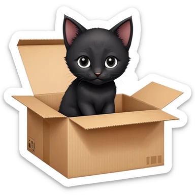  A very cute black young kitten cat with one's head tilted to one side poked its paws out of the cardboard big box and placed them on top of it sticker