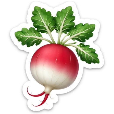 radish UK plant with a bit of white on the bottom of the radish sticker