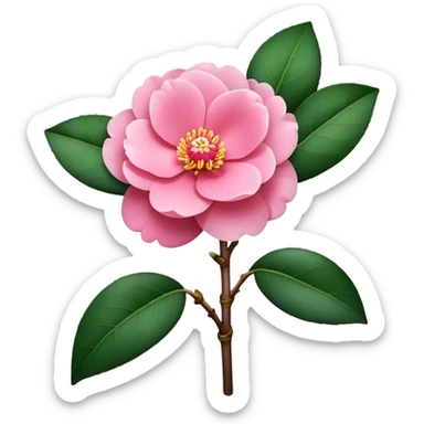 single pink Camellia flower, stem sticker