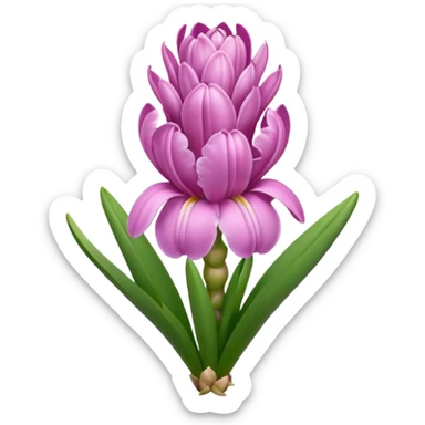 a light margenta  Hyacinth sticker