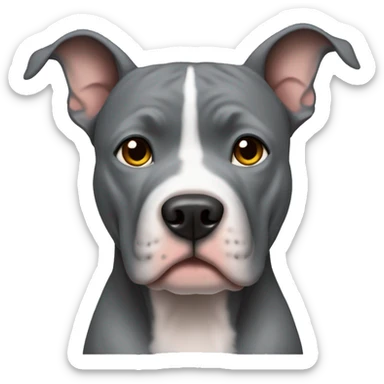 Grey pitbull pointed ears  sticker