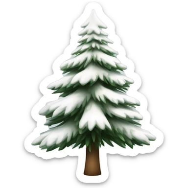  actual white fir christmas tree isolated.  sticker