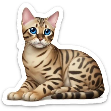 Seal Bengal cat with Blue eyes sitting sticker