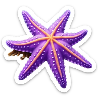 Realistic, still life, Purple sea star, Pisaster ochraceu sticker