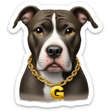 A dog pitbull with a big gold chain on that says G-UNIT sticker