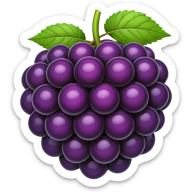Blackberry sticker