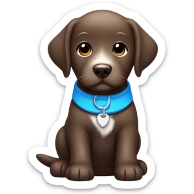 Chocolate labrador puppy with small white fur on chest and cute blue collar sticker