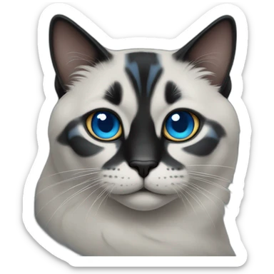 Un gato negro con ojos azules sticker