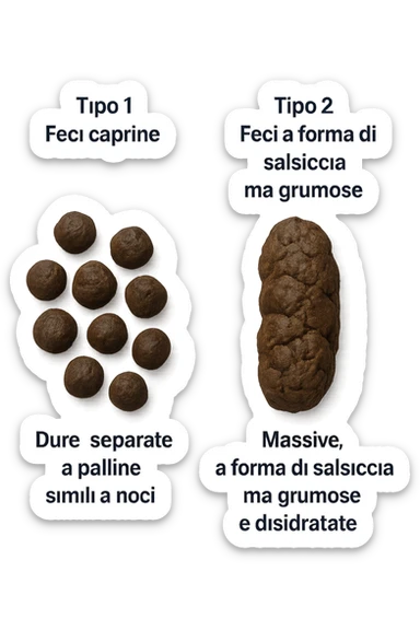 immagine di due tipi di feci iperrealistiche viste dall'alto con descrizione:
Tipo 1 – Feci caprine
Palline dure, separate, simili a noci

Tipo 2 – Feci a forma di salsiccia ma grumose
Massicce e disidratate.
 sticker