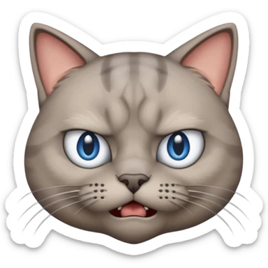angry grey cat blue small slanted eyes. iphone real emoji style, made the cat look challenging sticker