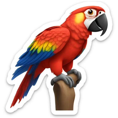 A scarlet macaw sticker