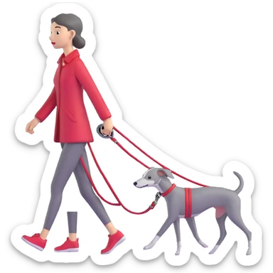 Beautiful Asian girl walking a completely solid grey Italian greyhound with a grey nose on a simple red leash, no white markings anywhere, pure grey dog sticker